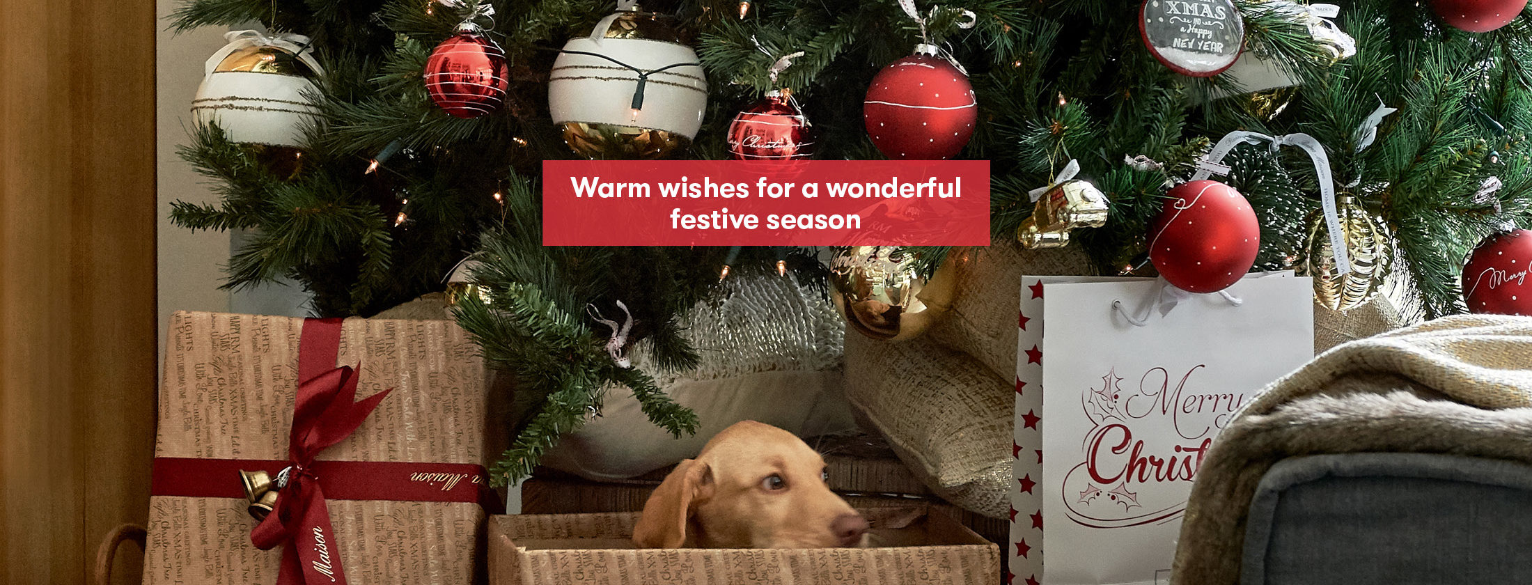 0971_Joinwell_Web-Banners_2220x900px2